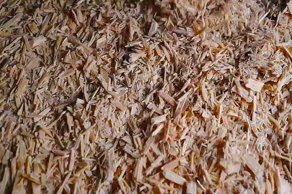 Отбор древесного сырья